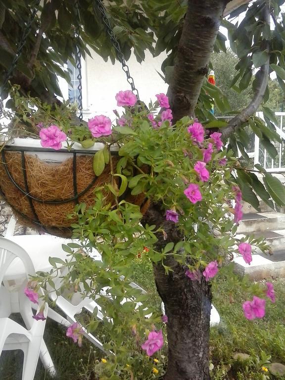 שיבניק Siesta Apartments מראה חיצוני תמונה