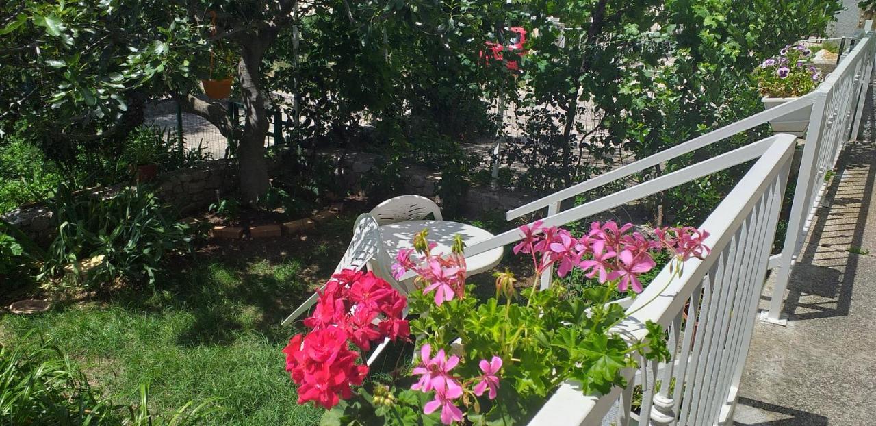 שיבניק Siesta Apartments מראה חיצוני תמונה